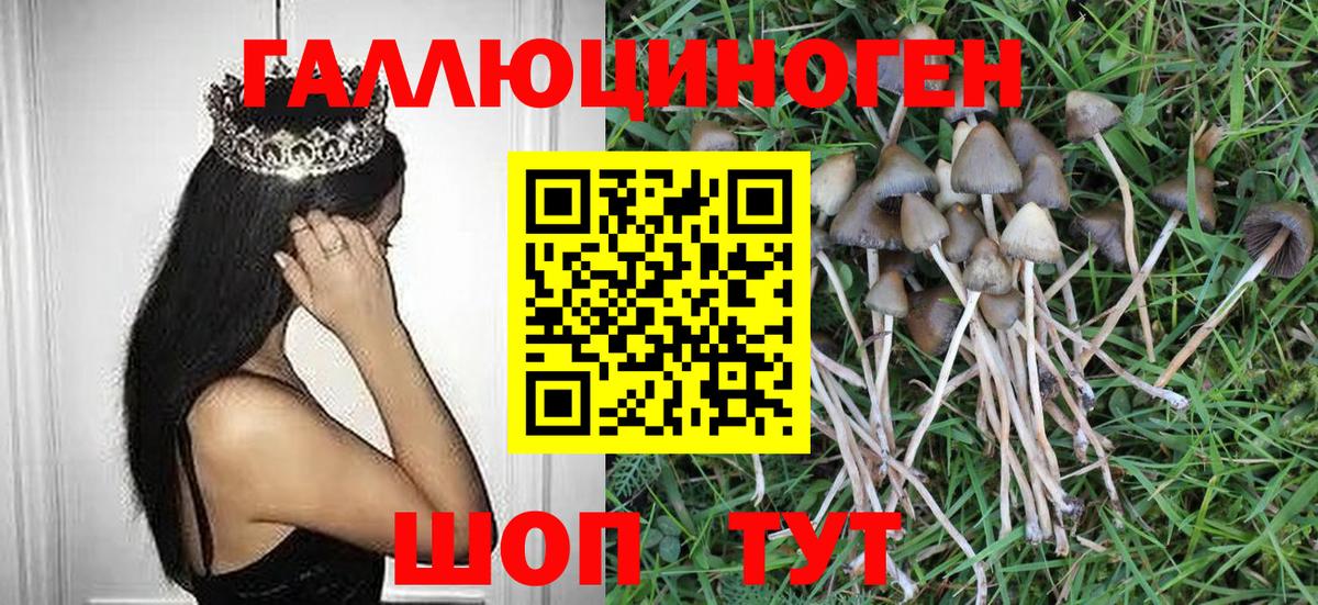 Кыштым  Псилоцибиновые грибы Psilocybe  Вход с VPN  Псилоцибиновые грибы Psilocybine cubensis 