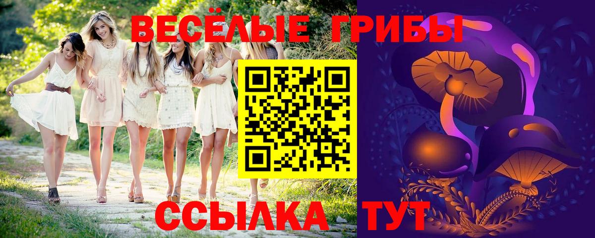 Псилоцибиновые грибы MAGIC MUSHROOMS Кыштым